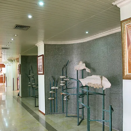 D. Luis 3* Coimbra
