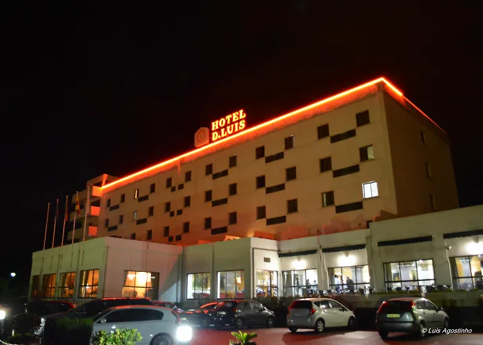 D. Luis كويمبرا